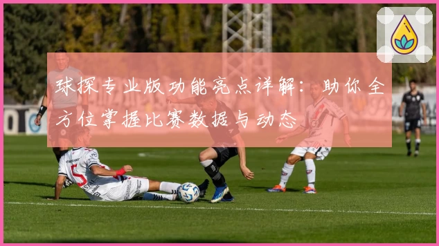 球探专业版功能亮点详解：助你全方位掌握比赛数据与动态