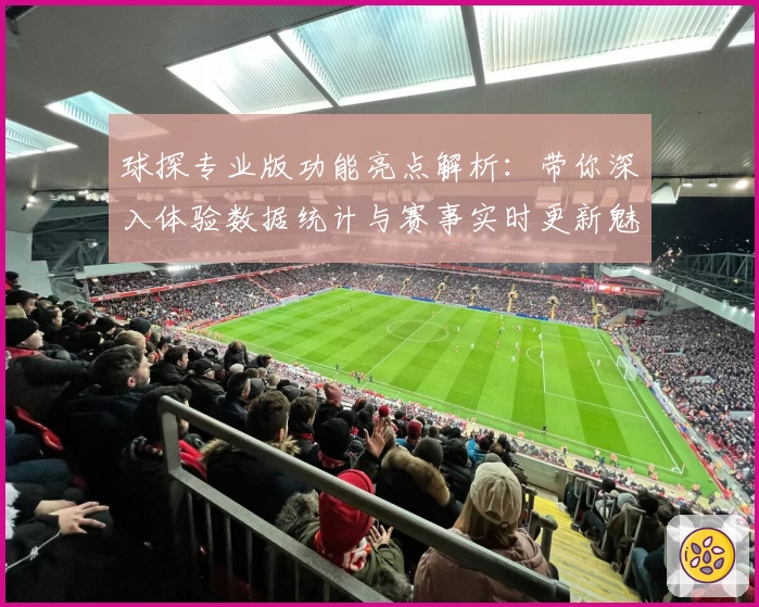 球探专业版功能亮点解析：带你深入体验数据统计与赛事实时更新魅力
