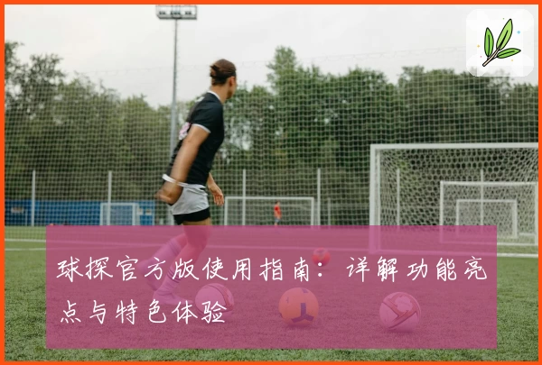 球探官方版使用指南：详解功能亮点与特色体验