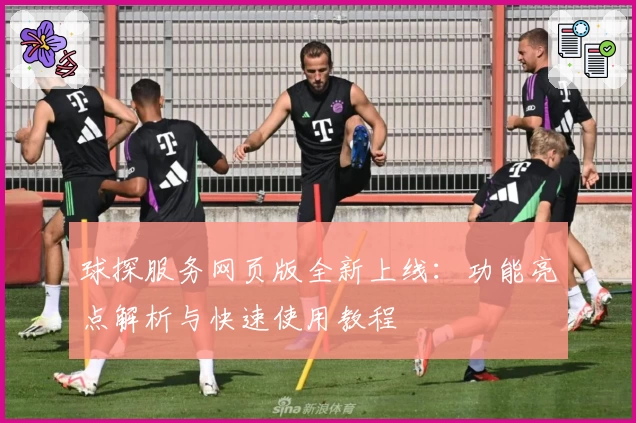 球探服务网页版全新上线：功能亮点解析与快速使用教程