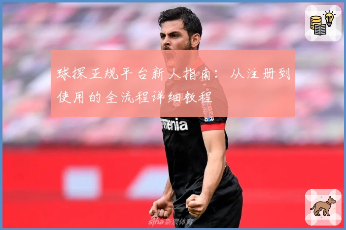 球探正规平台新人指南：从注册到使用的全流程详细教程
