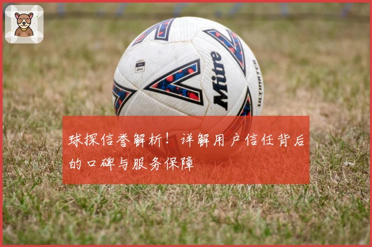 球探信誉解析！详解用户信任背后的口碑与服务保障