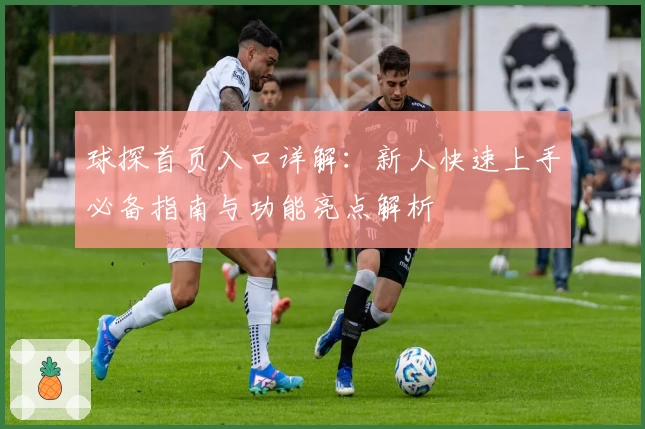 球探首页入口详解:新人快速上手必备指南与功能亮点解析