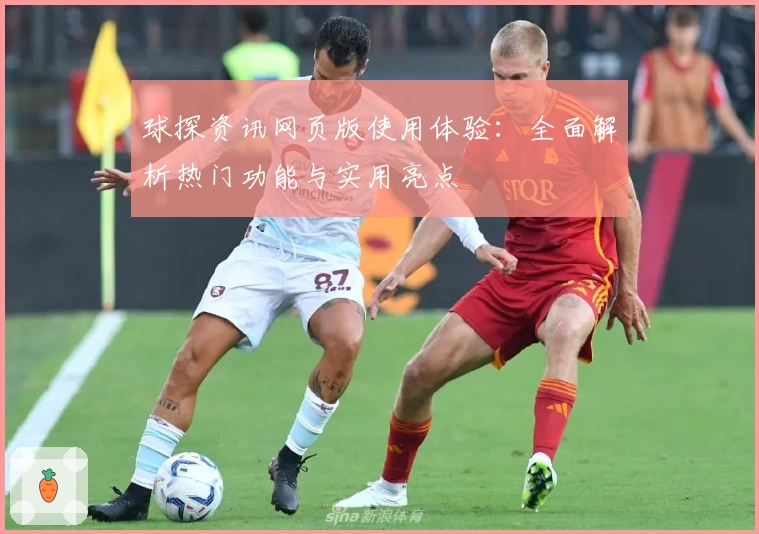 球探资讯网页版使用体验：全面解析热门功能与实用亮点